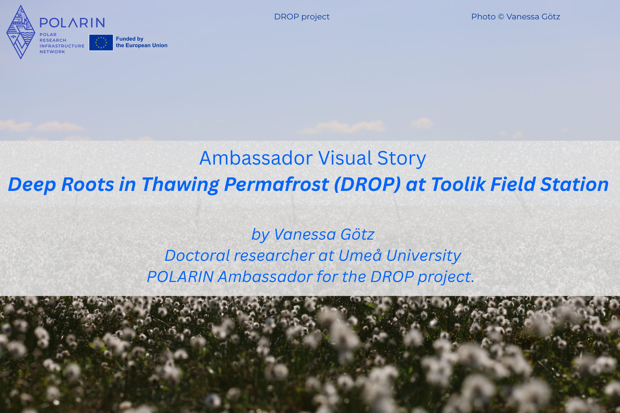 Deep Roots in Thawing Permafrost – New POLARIN Ambassador Visual story!