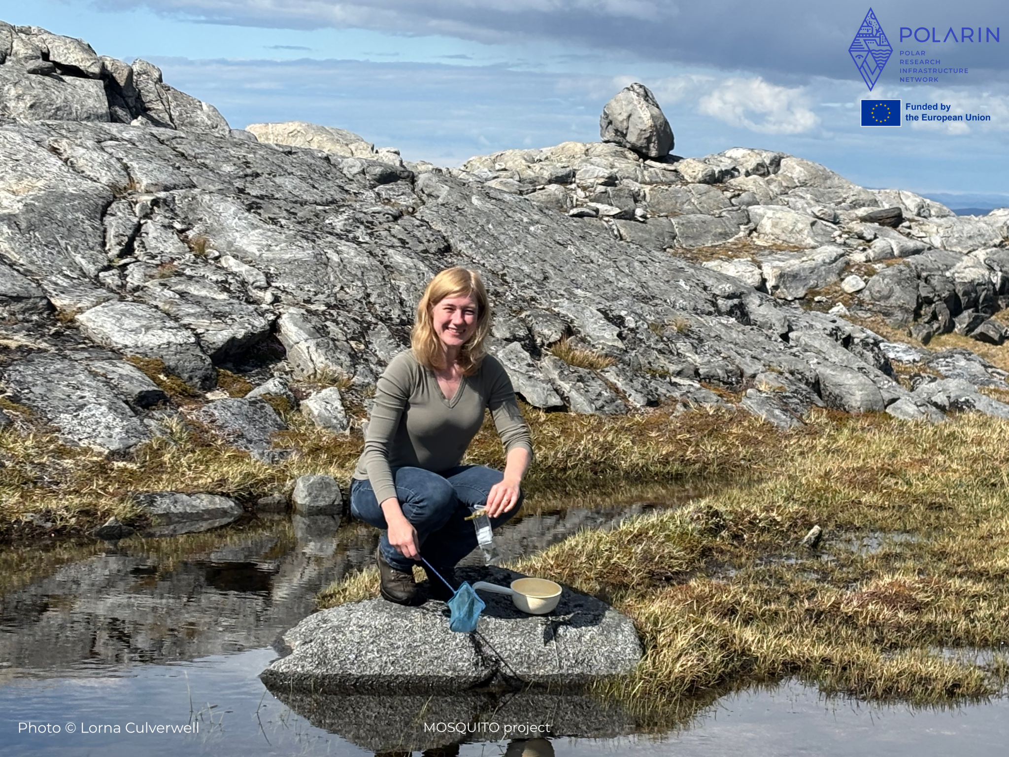 Beyond the Bite: Mapping Arctic Mosquito Viromes with a Mobile Sequencing Lab