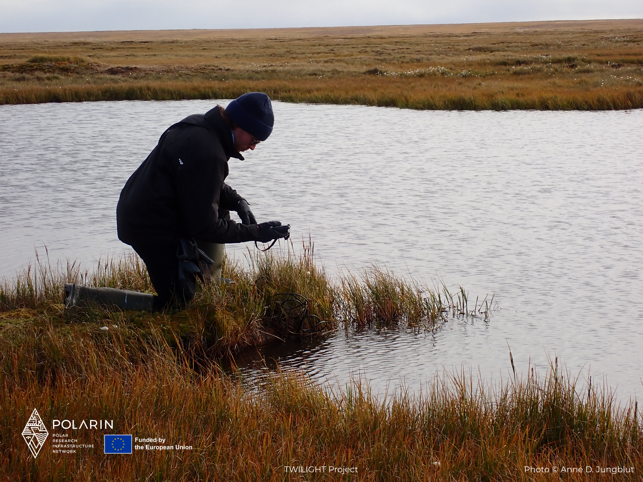 Ponds of Utqiaġvik: Exploring Hidden Life in Arctic Alaska
