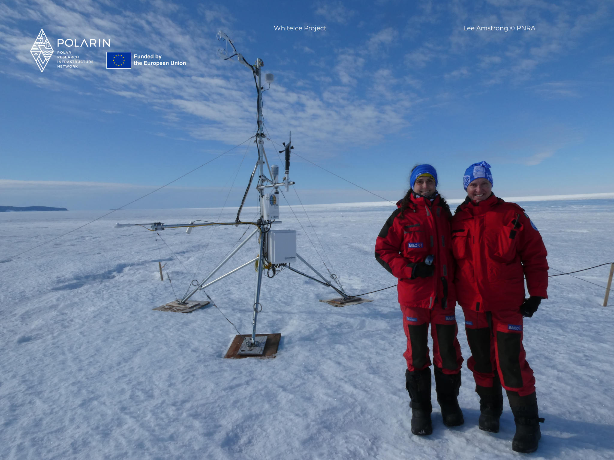 WhiteIce in Antarctica: Investigating the Surface Scattering Layer